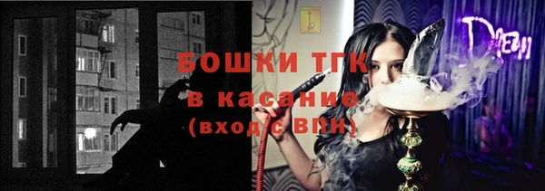 эйфоретик Арсеньев