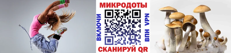Псилоцибиновые грибы Psilocybine cubensis  ссылка на мегу рабочий сайт  Грайворон  что такое  